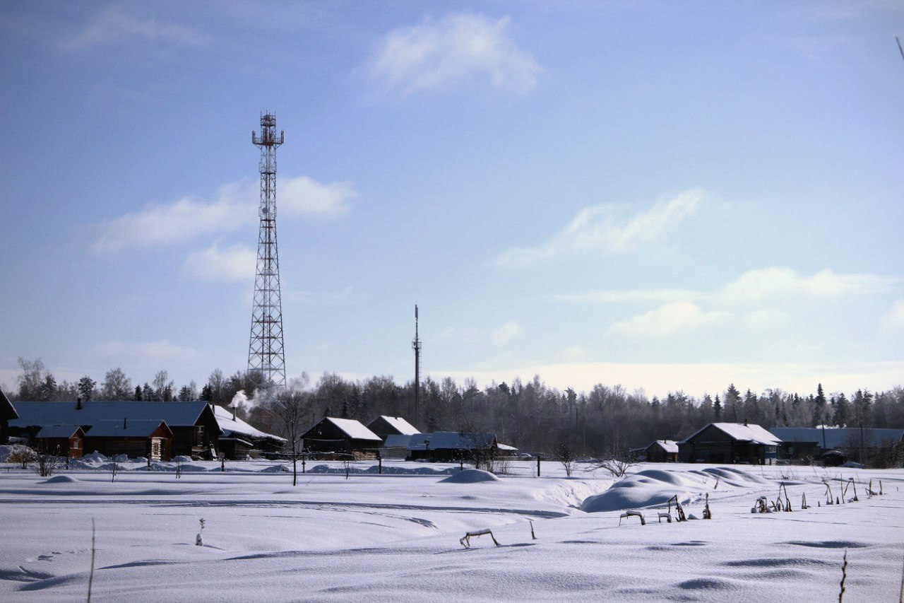 Village life - My, Village, Everyday life, Winter, Nature, Longpost