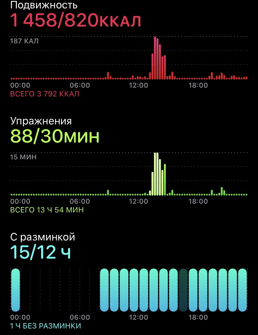 Day 8 [Hard training and first breakdown] - My, Proper nutrition, sotochka, Diet, Workout, Longpost