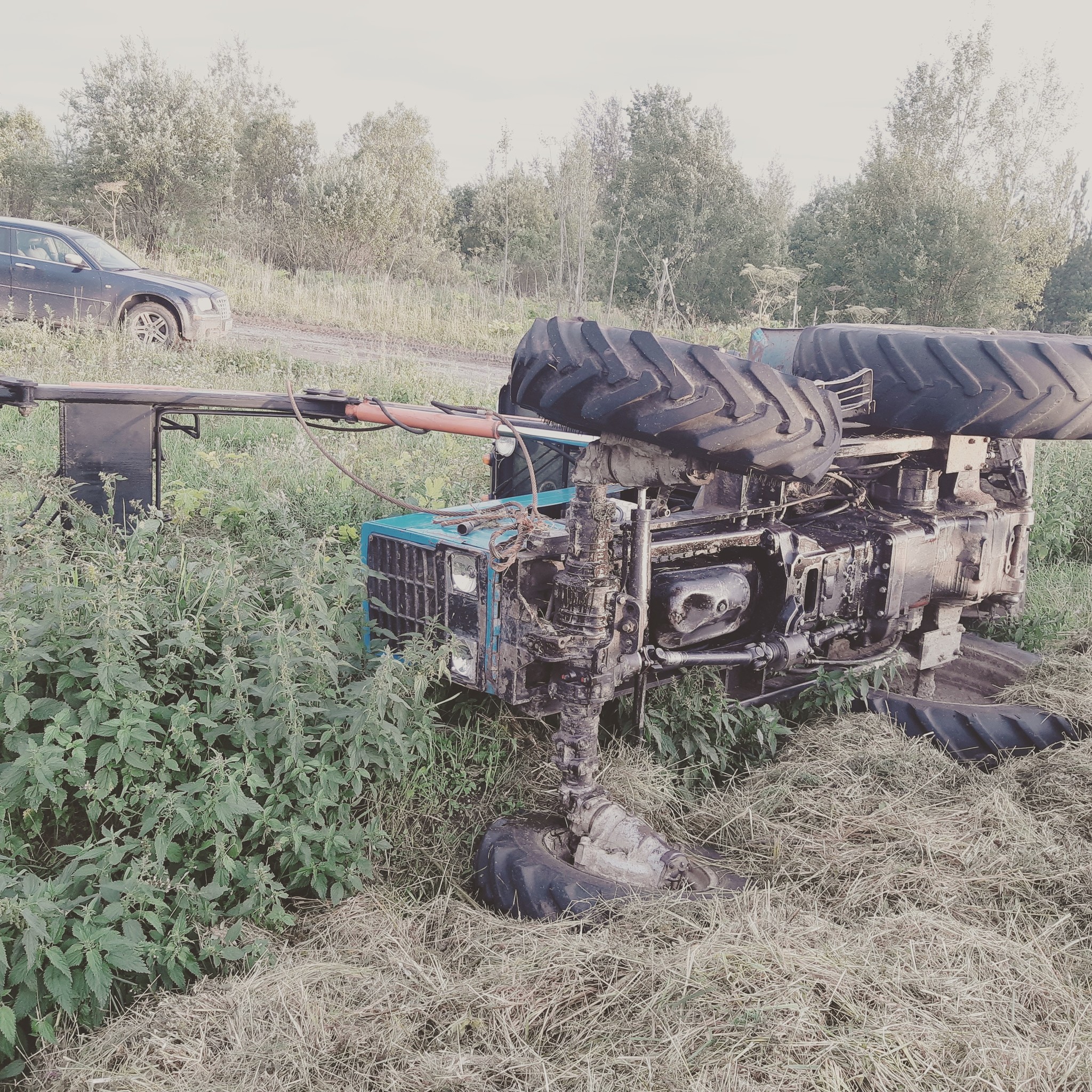 Farmer's Diary. Answers on questions - Сельское хозяйство, Rural life, Collective farm, Milk products, Personal experience, Mat, Longpost, Tractor