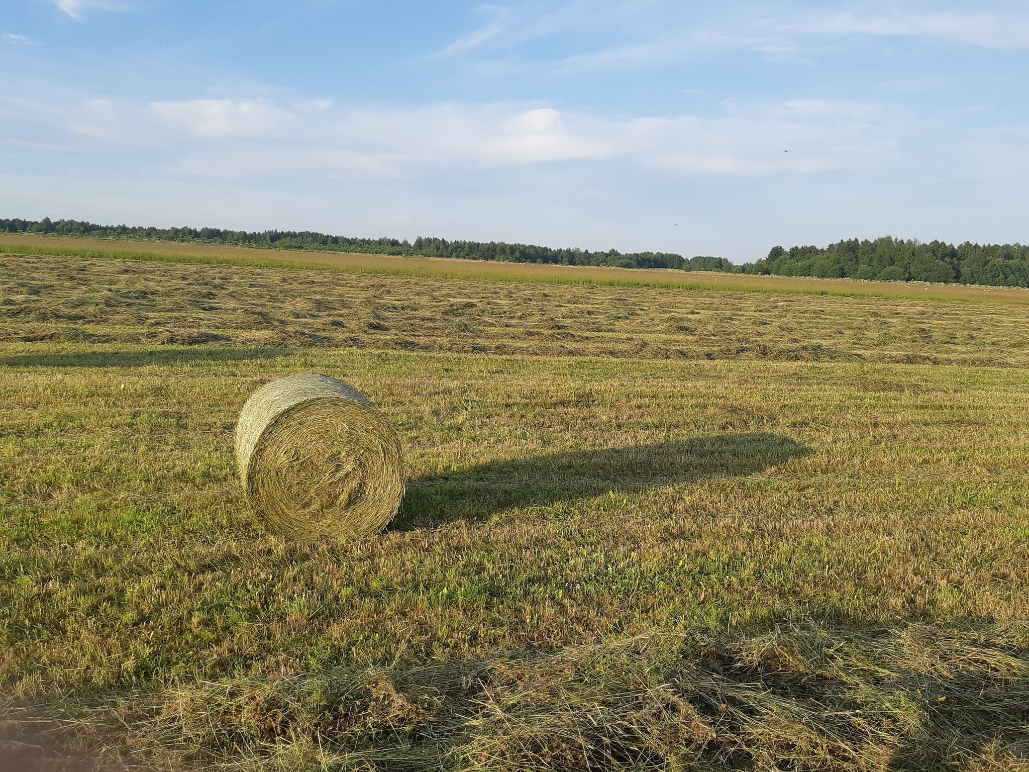 Farmer's Diary. Answers on questions - Сельское хозяйство, Rural life, Collective farm, Milk products, Personal experience, Mat, Longpost, Tractor