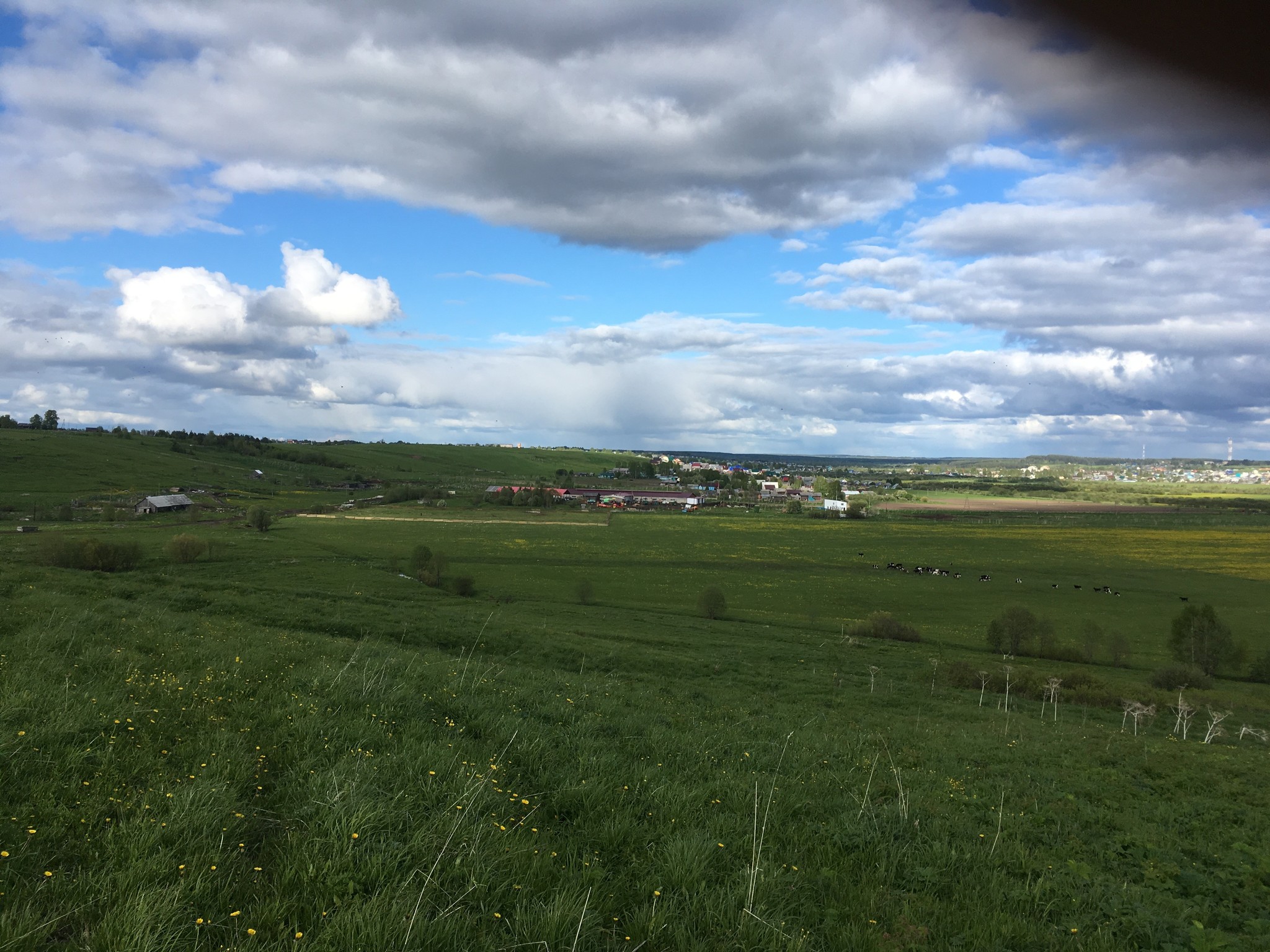 Farmer's Diary. Answers on questions - Сельское хозяйство, Rural life, Collective farm, Milk products, Personal experience, Mat, Longpost, Tractor