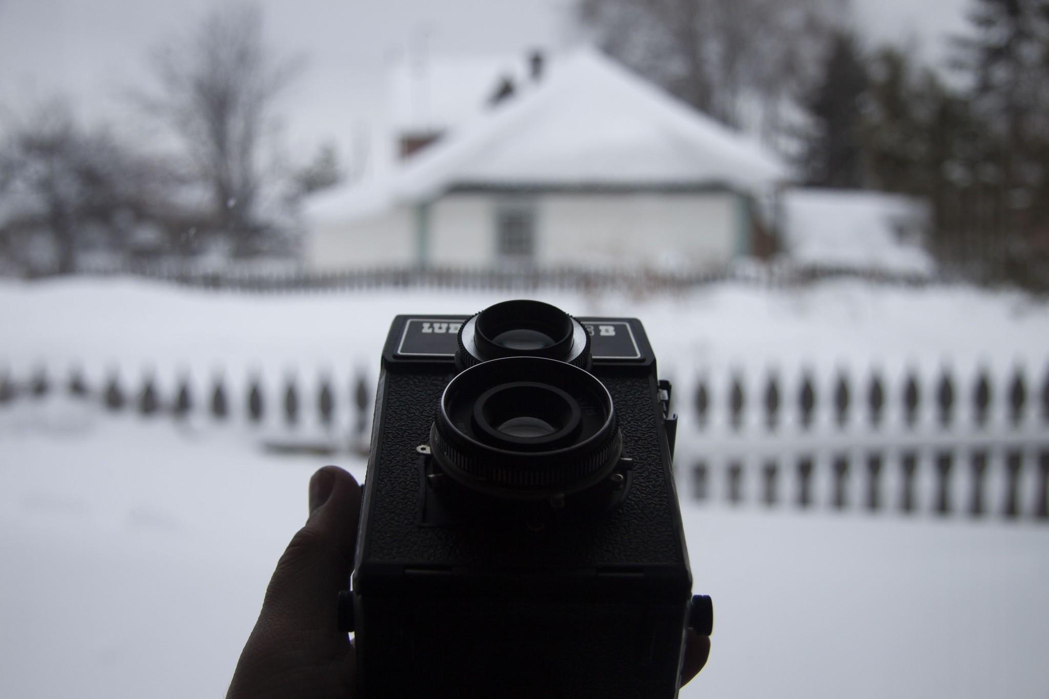 A look through retroprism. Lubitel 166 B - My, Amateur166, The photo