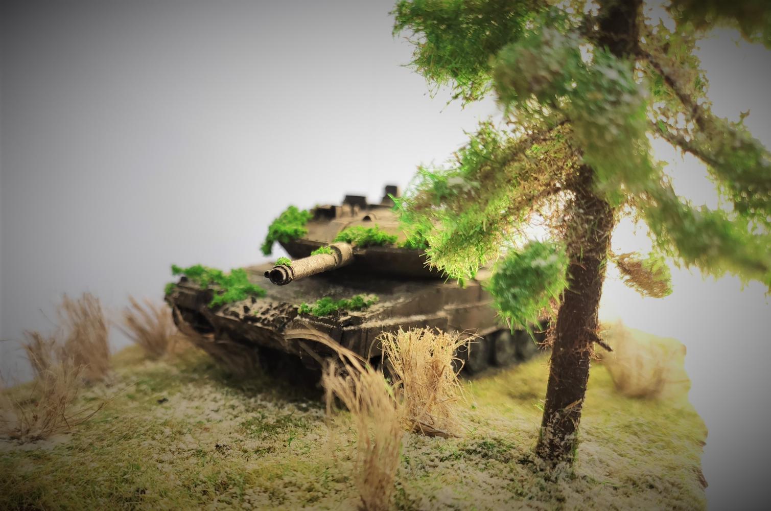 Diorama Lost... | Diorama Leopard 2a5/Is 2 - My, Diorama, IS2, Star, Revell, Video, Longpost