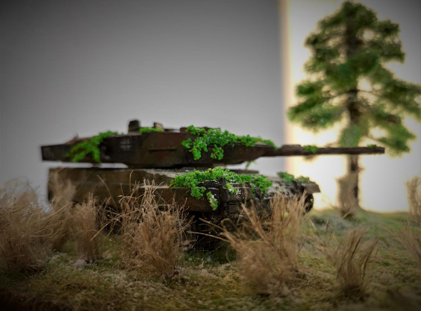 Diorama Lost... | Diorama Leopard 2a5/Is 2 - My, Diorama, IS2, Star, Revell, Video, Longpost