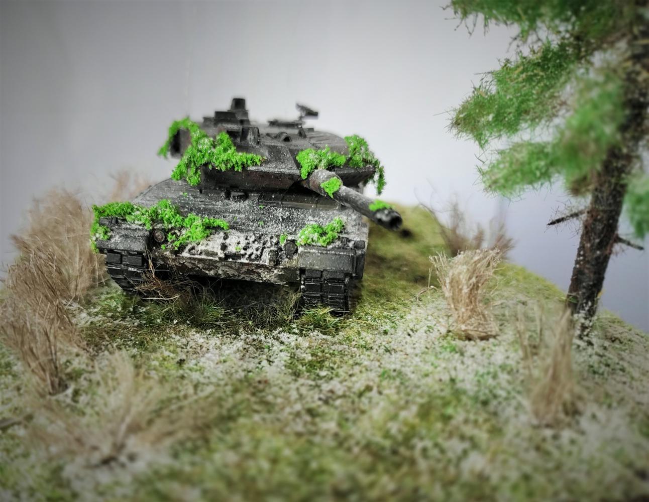 Diorama Lost... | Diorama Leopard 2a5/Is 2 - My, Diorama, IS2, Star, Revell, Video, Longpost