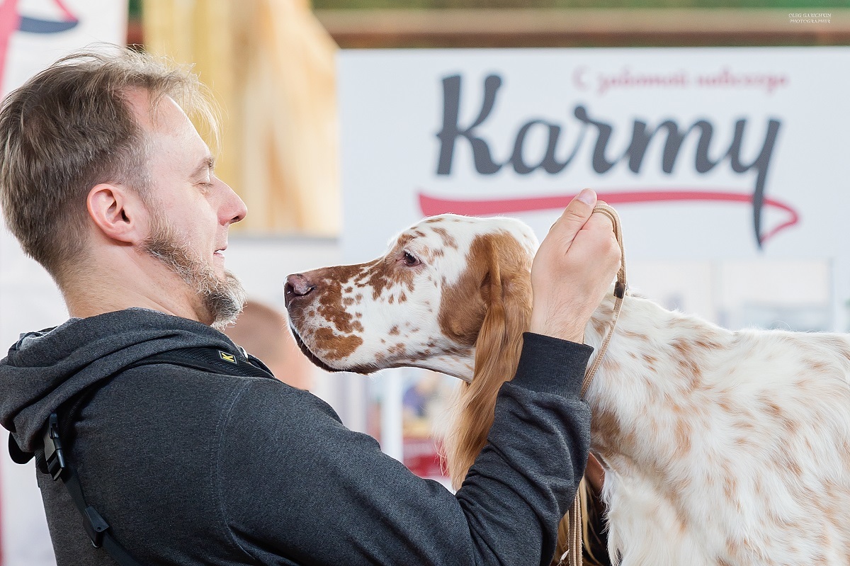 Another series of reportage photographs from dog shows held in the South of Russia - enjoy viewing and good mood))) - My, Dog, Dogs and people, Dog lovers, Dog days, Dog show, Animalistics, Longpost