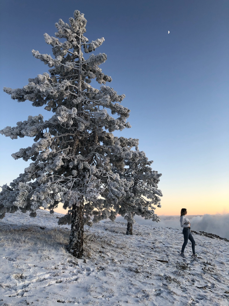 Ai-Petri, winter in the mountains 2 - My, Mobile photography, Nature, The mountains, Photo on sneaker, Phone wallpaper, Longpost