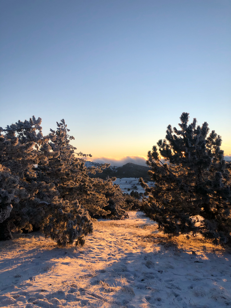 Ai-Petri, winter in the mountains 2 - My, Mobile photography, Nature, The mountains, Photo on sneaker, Phone wallpaper, Longpost