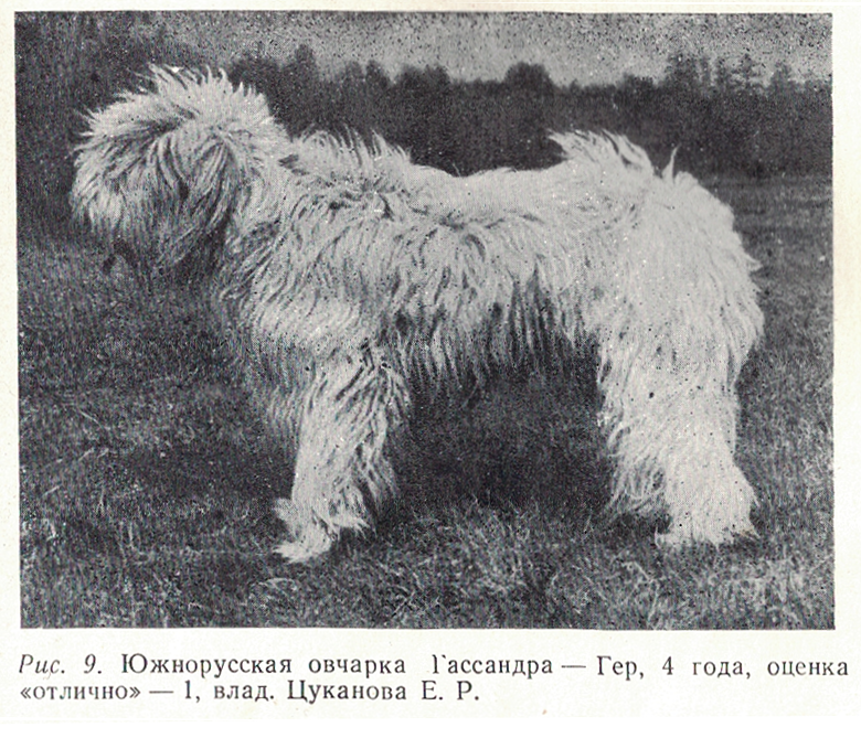 Soviet bred working dogs (1986) - Cynology, Dog, Old photo, Longpost