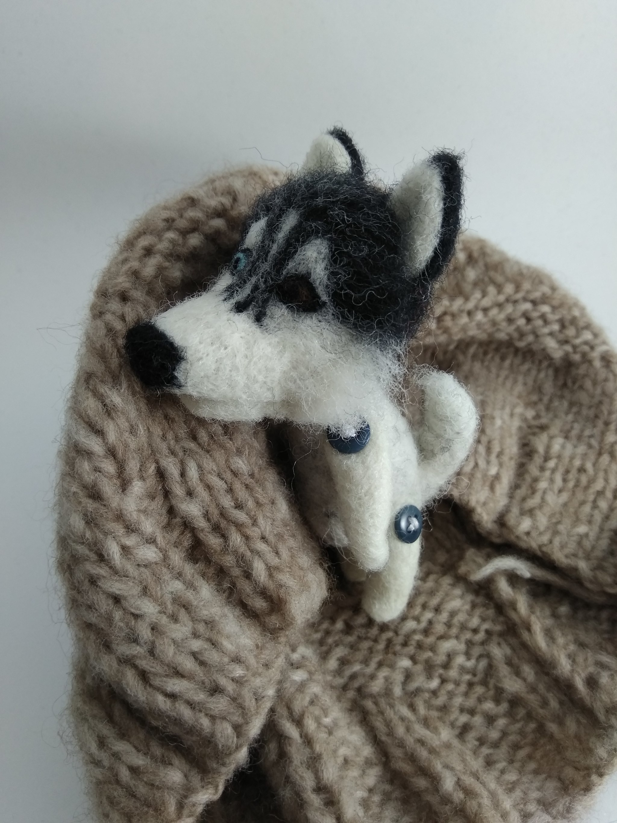 Husky with my hands - My, Husky, Needlework without process, Dry felting, Animals, Longpost