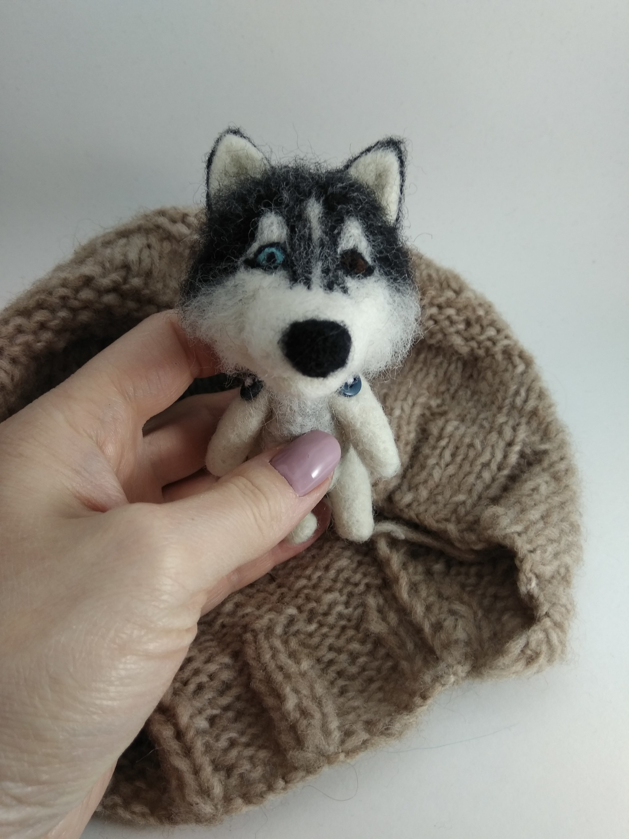 Husky with my hands - My, Husky, Needlework without process, Dry felting, Animals, Longpost