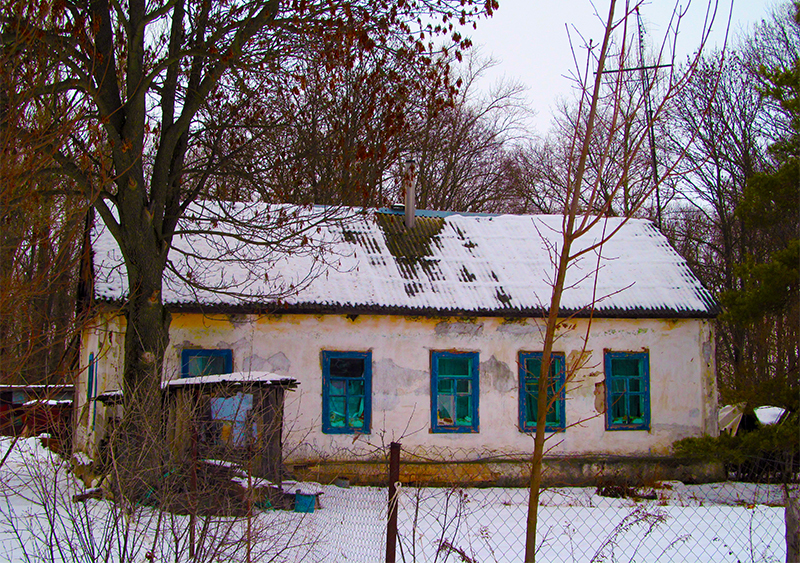 Did you know that Leo Tolstoy lived near Dankov for almost a year and saved thousands of peasants from death? - Lev Tolstoy, Dankov, Lipetsk region, Российская империя, Hunger, Longpost