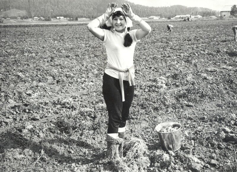 To the potatoes! - the USSR, Collective farm, Video, Longpost