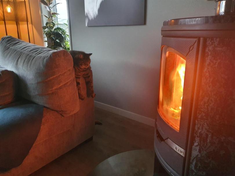 Heat - cat, Fireplace, Heat, Warming up