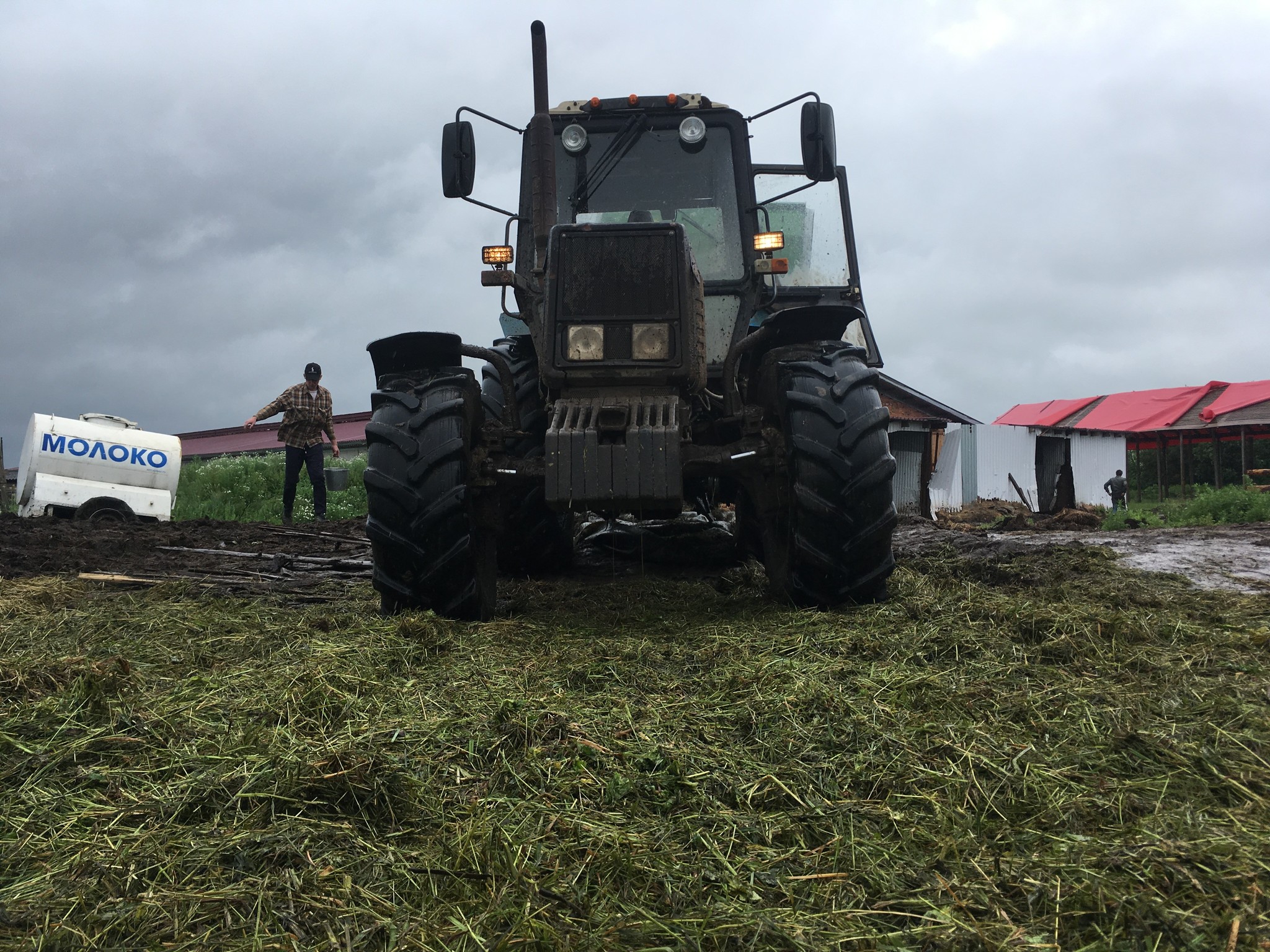 Farmer's Diary. Haylage. Italian hay - My, Сельское хозяйство, Hay, Agricultural machinery, Humor, Longpost