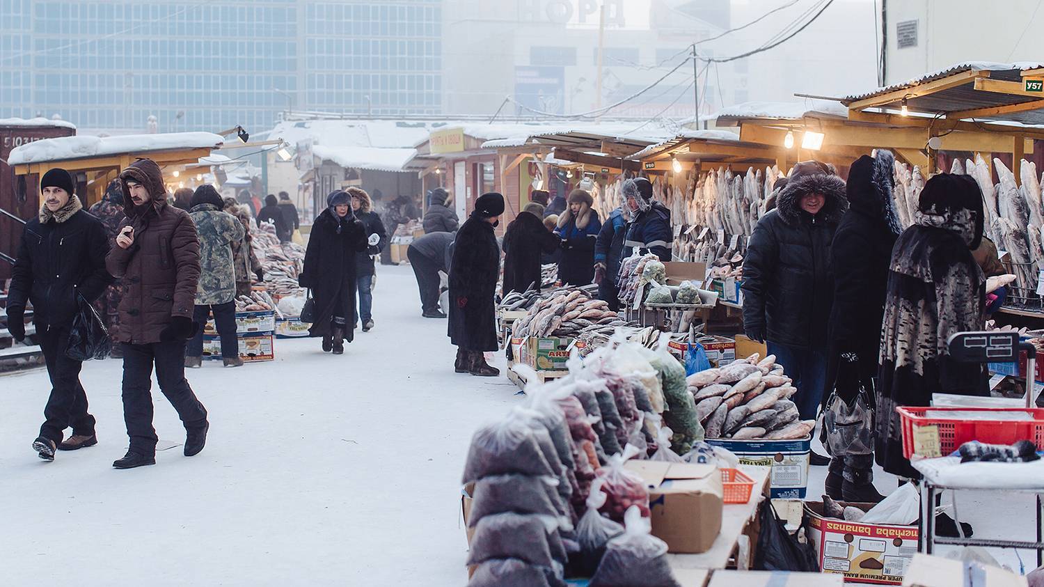 This is the coldest place on the planet where humans live - My, Russia, Дальний Восток, Yakutia, Travels, freezing, Permafrost, North, Winter, Longpost