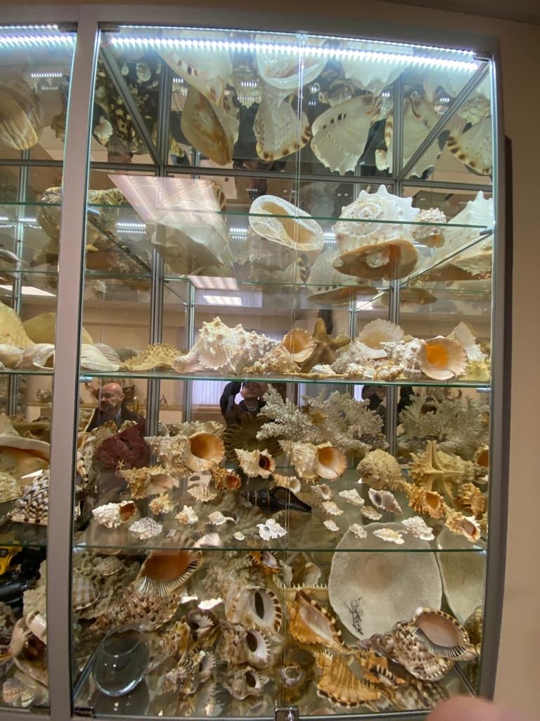 Museum? Exhibition? Someone's collection? No, a regular car service in Moscow - My, Car service, Museum, Samovar, Seashells, A rock, Longpost