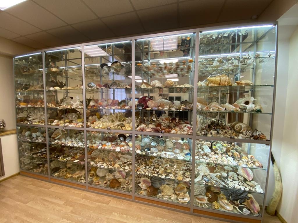 Museum? Exhibition? Someone's collection? No, a regular car service in Moscow - My, Car service, Museum, Samovar, Seashells, A rock, Longpost