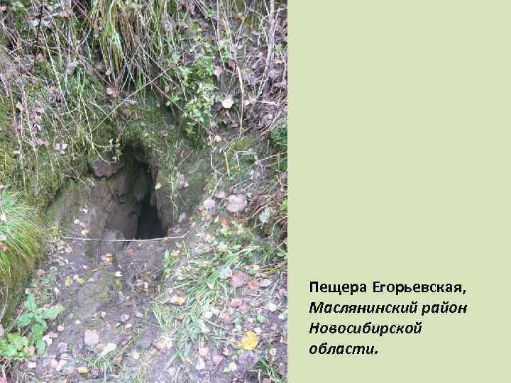 Adventures in the Yegoryevskaya Cave, part one - My, Longpost, Text, Tourism, Caves, Novosibirsk region, Speleology