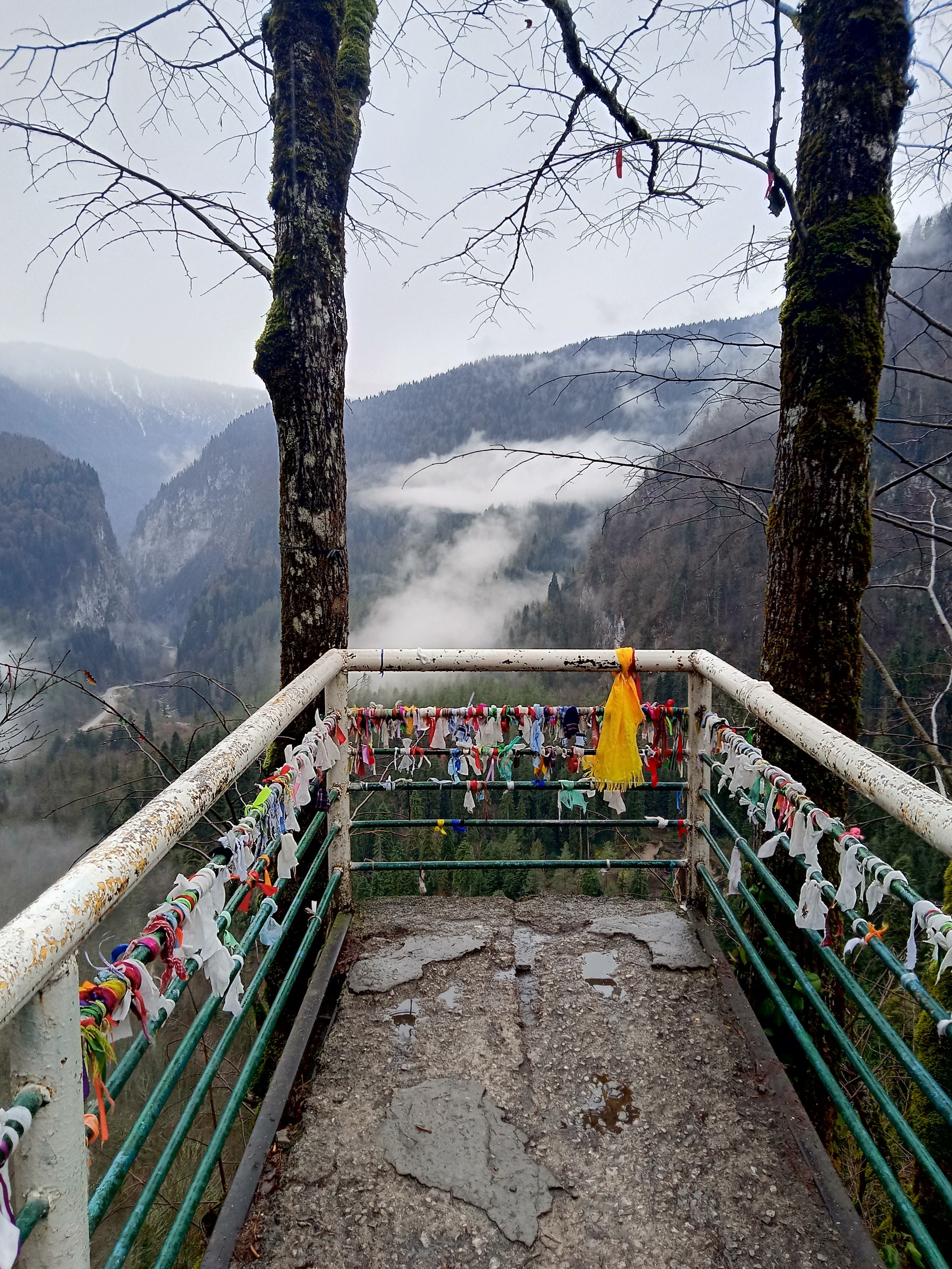 Abkhazia in winter by car - My, Abkhazia, Road trip, Longpost