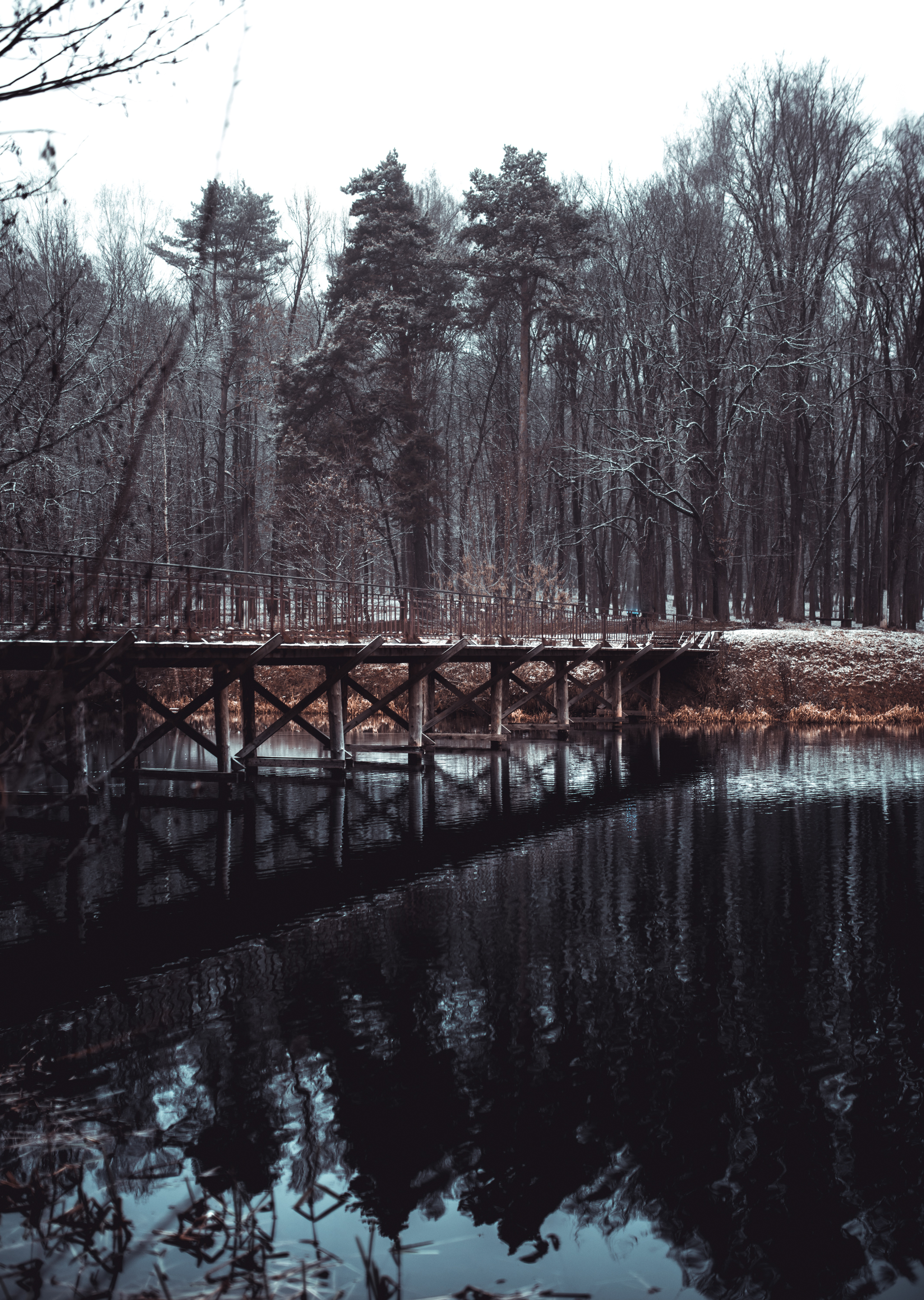 Walk and look around - My, Winter, Snow, Nature, Forest, Republic of Belarus, wildlife, Lake, Bridge, Longpost