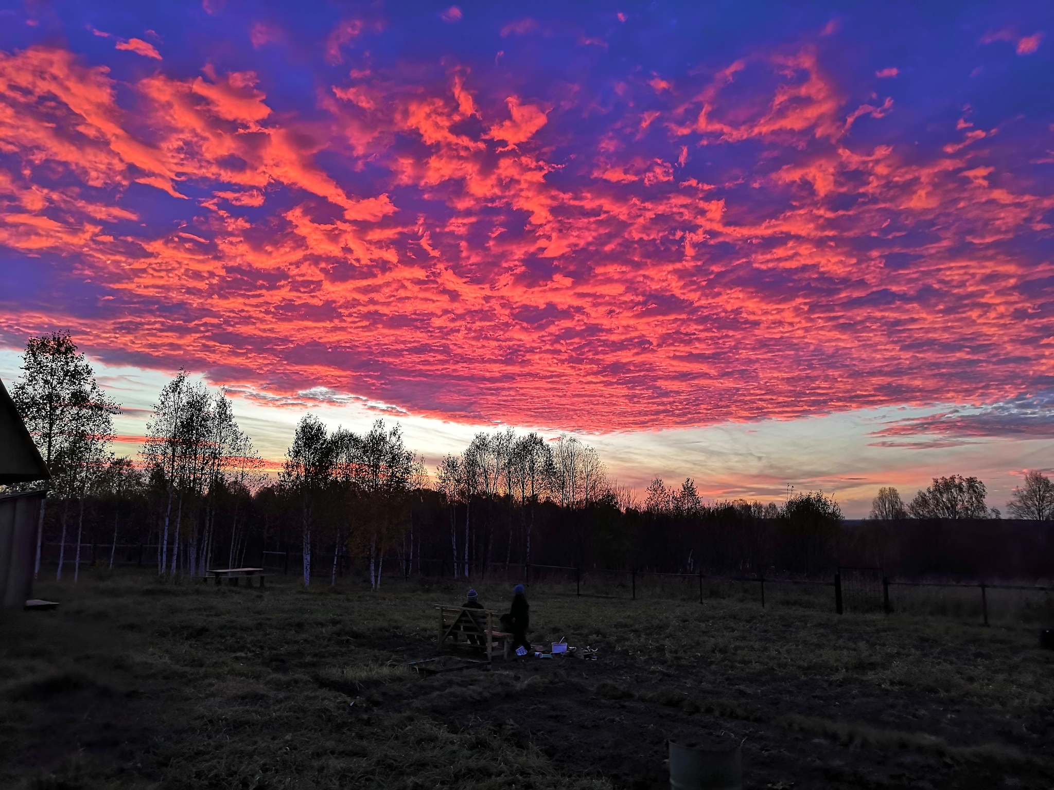 Осень 2019 - Моё, Закат, Осень, Красота