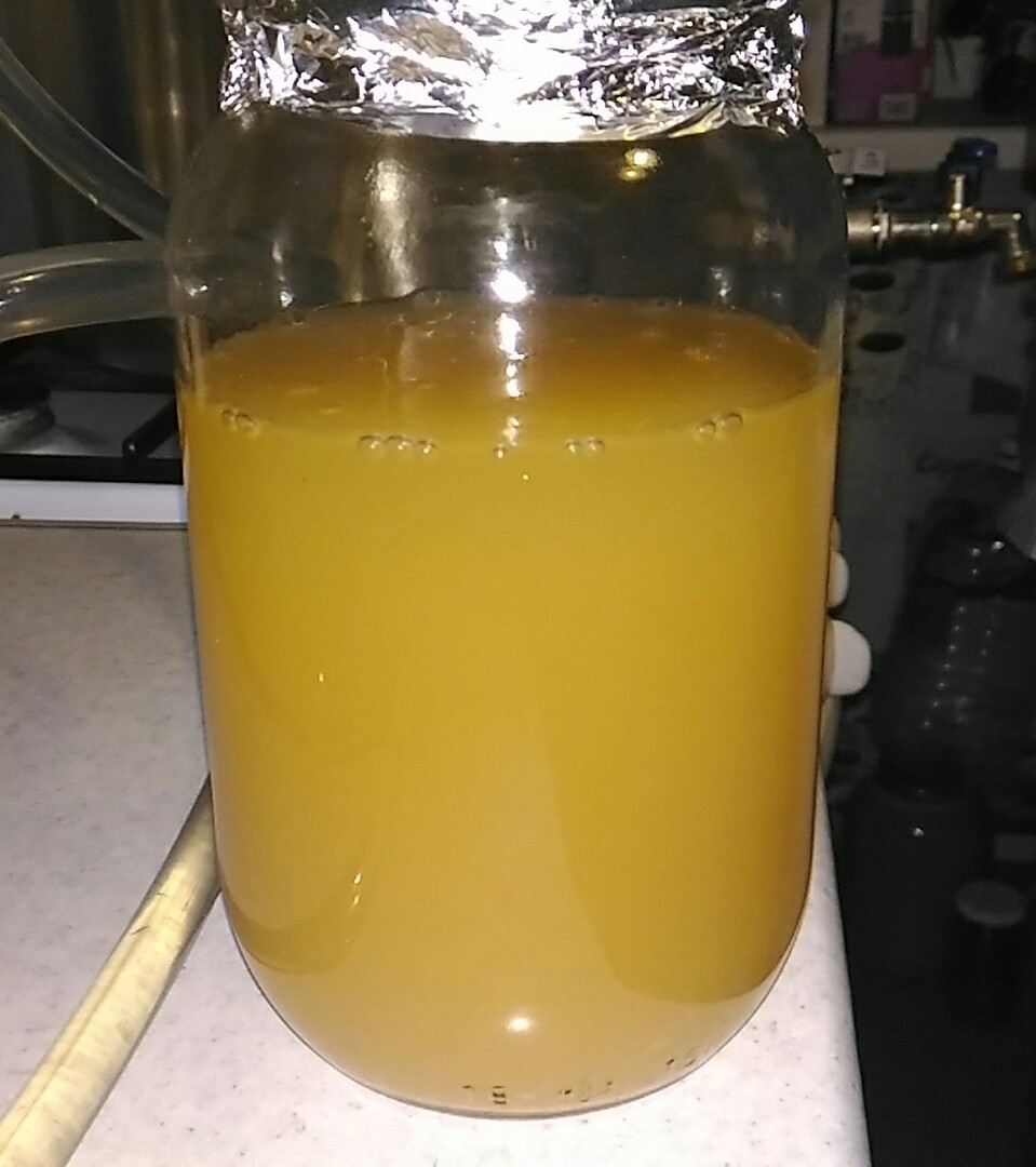 Recipe for Dry Hopped Mead. Lots of photos - My, Longpost, Mead, Honey, Hop, Beer, Brewery, Brewing