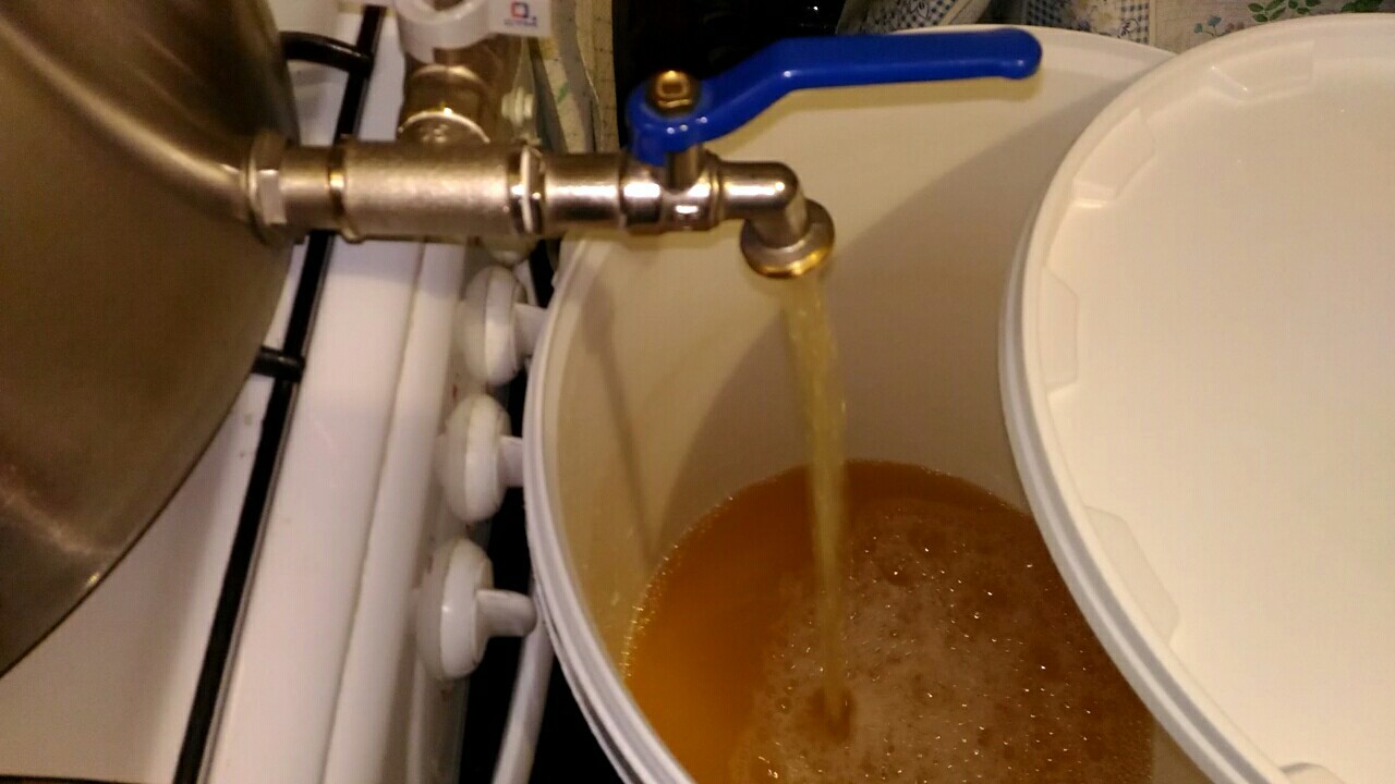 Recipe for Dry Hopped Mead. Lots of photos - My, Longpost, Mead, Honey, Hop, Beer, Brewery, Brewing