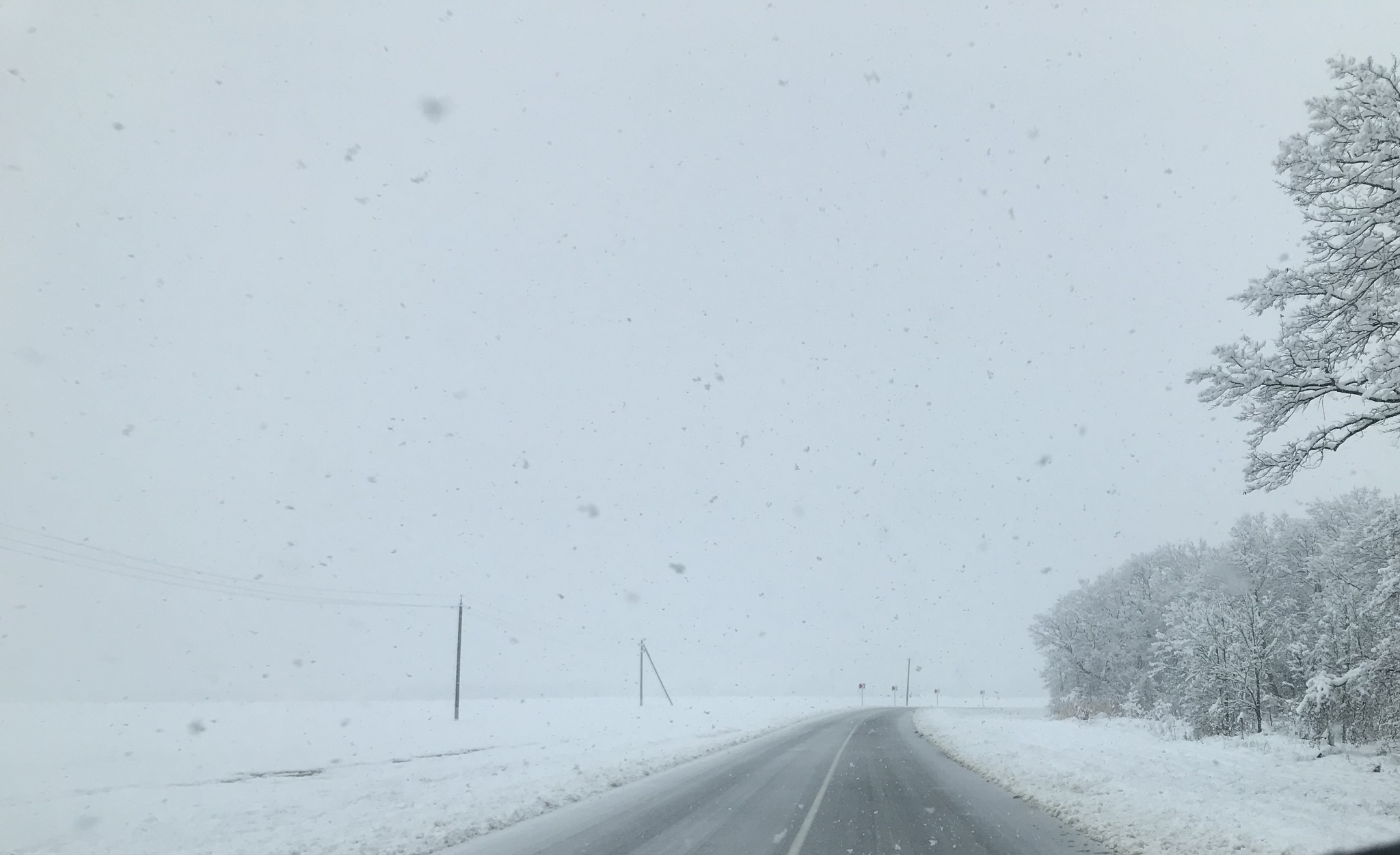 Winter in the south of Russia - My, Winter, South of Russia