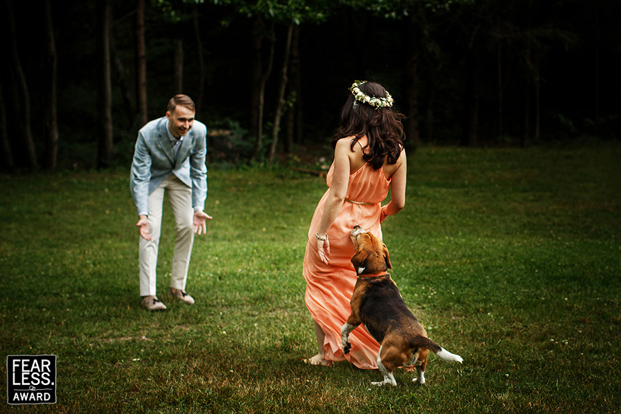 In my opinion, these photos from wedding photo shoots are the best. - Dog, Wedding, PHOTOSESSION, The photo, Groom, Bride, Photobomb, Milota, Longpost