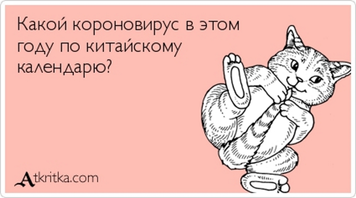 Туляки могут похвастаться первым предположительно заболевшим! - Моё, Тула, Коронавирус, Длиннопост