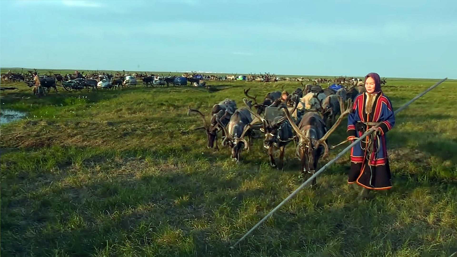 NEDARMA - the path, the roads of the Khudi family - Yamal, Deer, Reindeer herder, Nenets, Pasture, Nomads, Tundra, Arctic, Video, Longpost