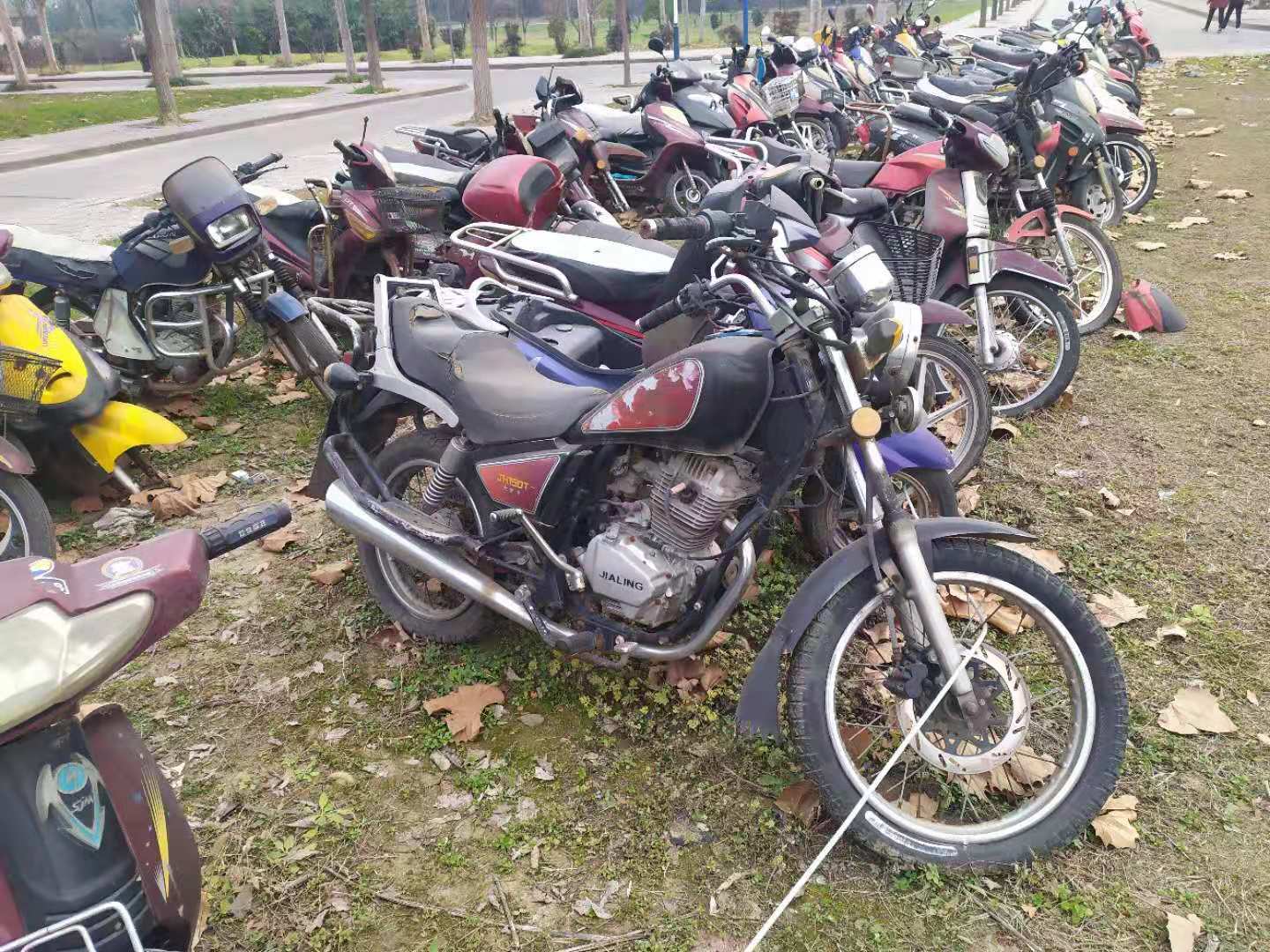 Giant bicycle dump in front of the house - My, China, A bike, Dump, Disposal, Longpost