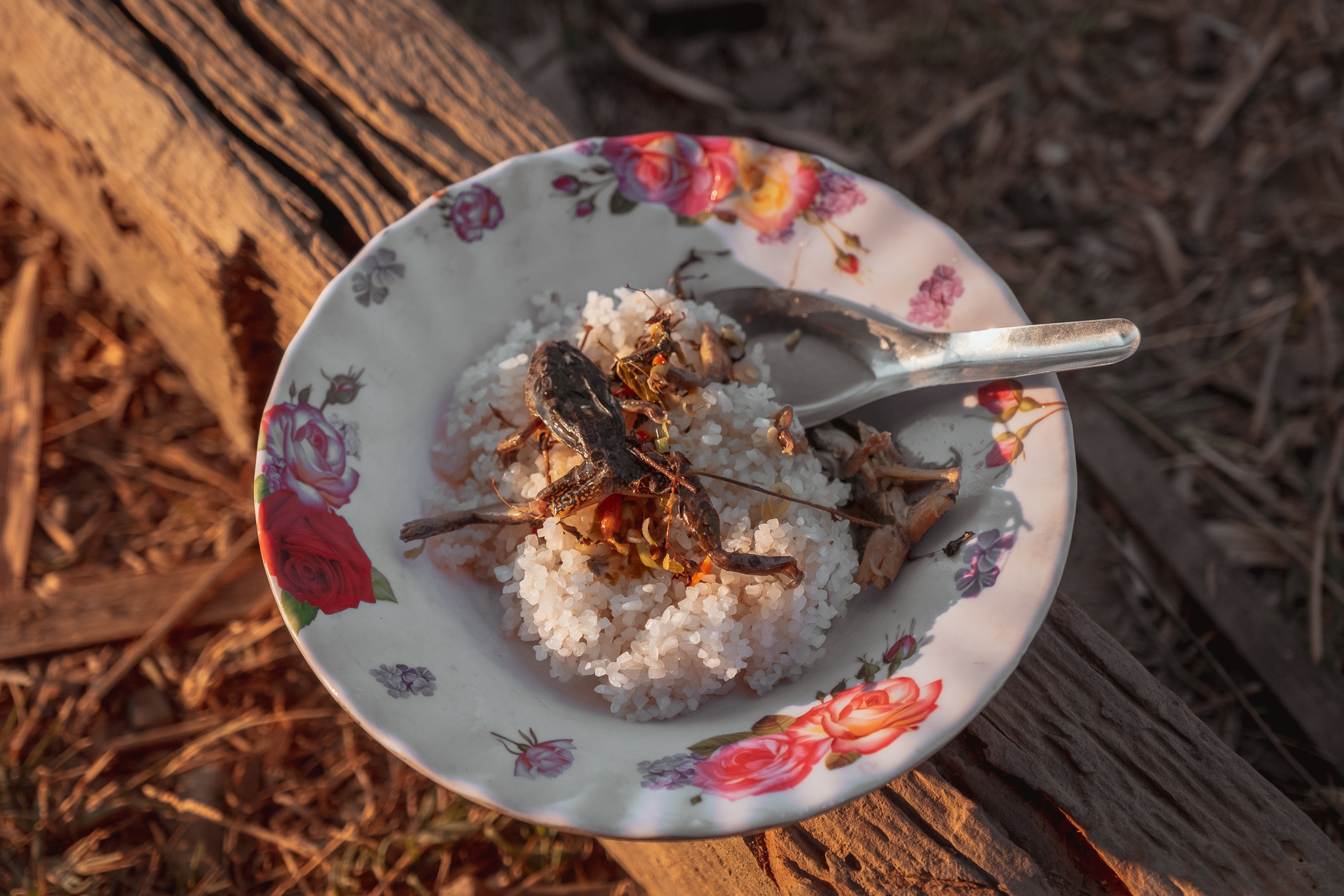 Wild Cambodia: poverty and celebration every day - My, Travels, Cambodia, Southeast Asia, The photo, Poverty, Adventures, Traditions, Longpost