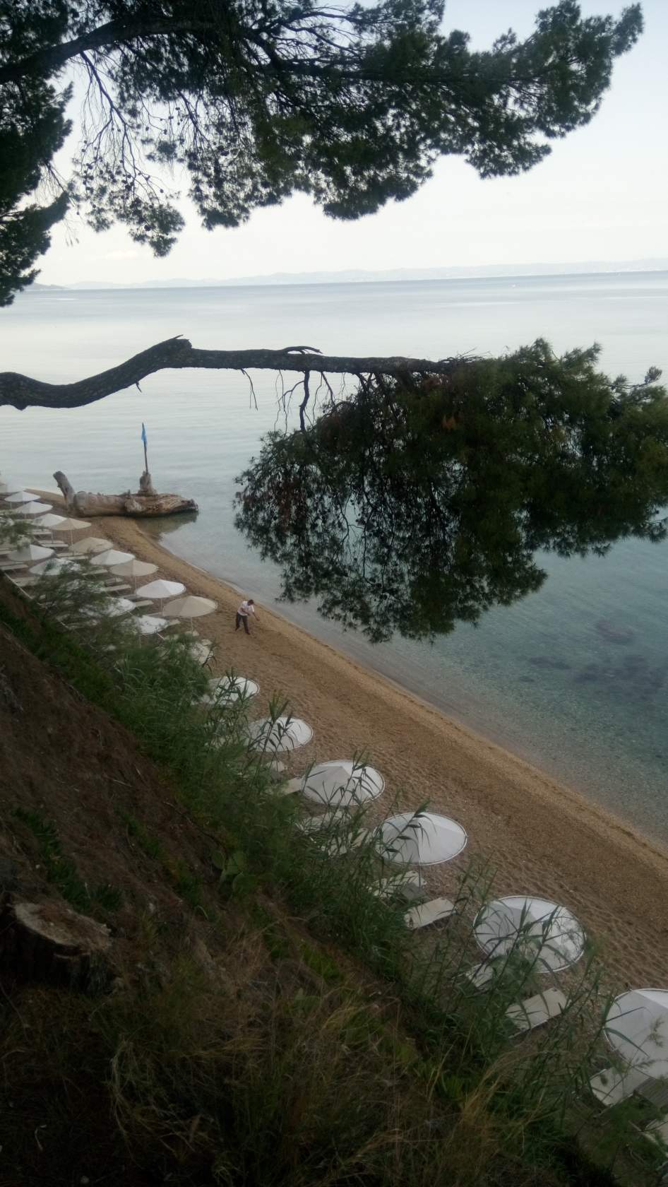 Elea Beach Greece - My, Greece, Halkidiki, Clear sea, Morning