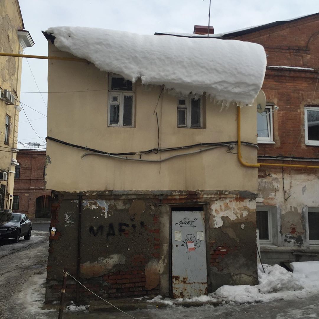 Ну здравствуй, мой упоротый друг! | Пикабу