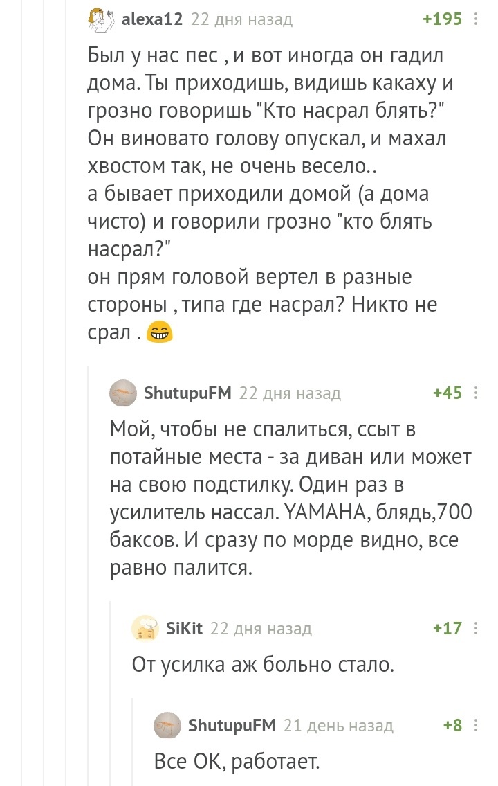 Залезла сука на кровать и насрала