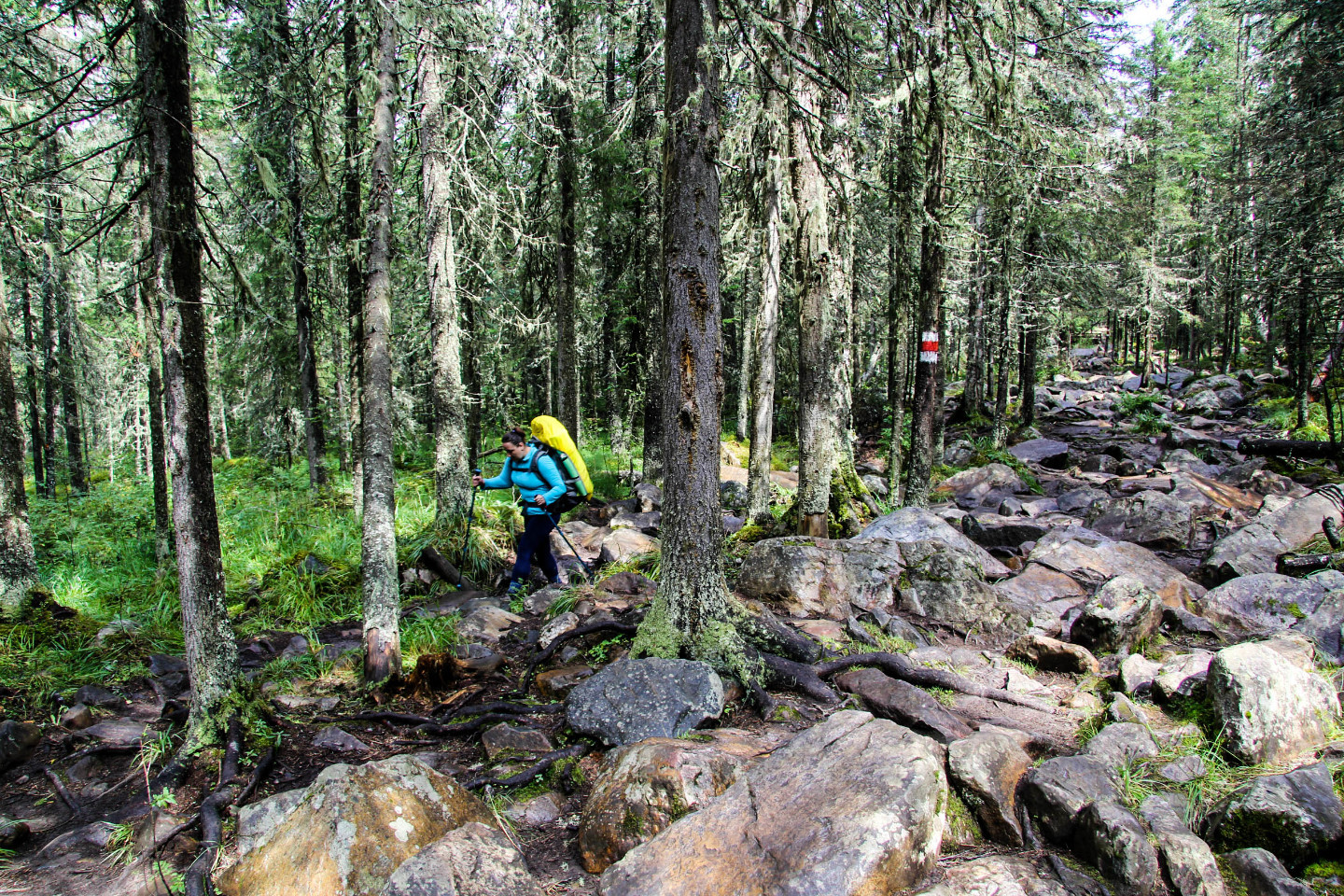 Climbing Big Iremel: how to go hiking in the Southern Urals in mid-August and not drown in the mud - My, Advice, Hike, Southern Urals, Big Iremel, Iremel, Bashkortostan, The mountains, Travels, Longpost