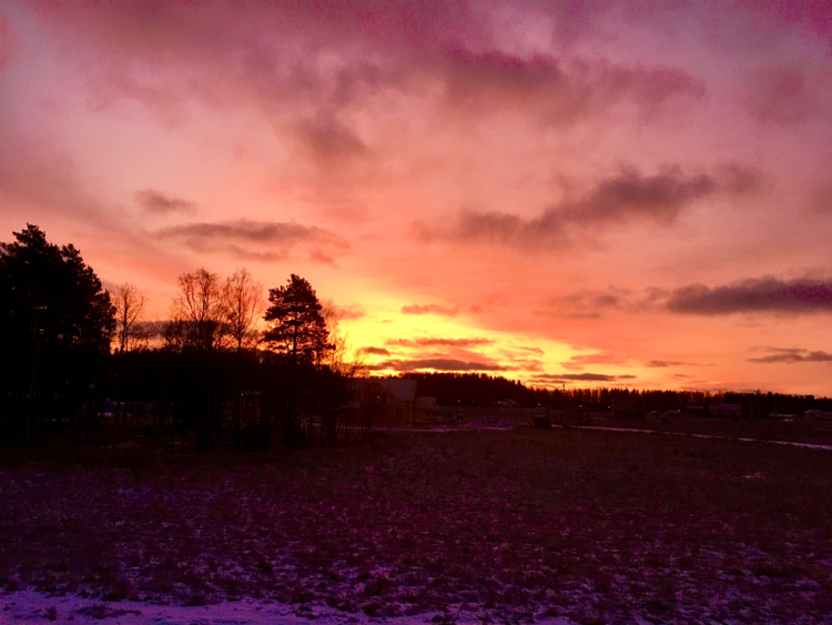 Sunset, before the frost - My, Nature, The photo, Sunset