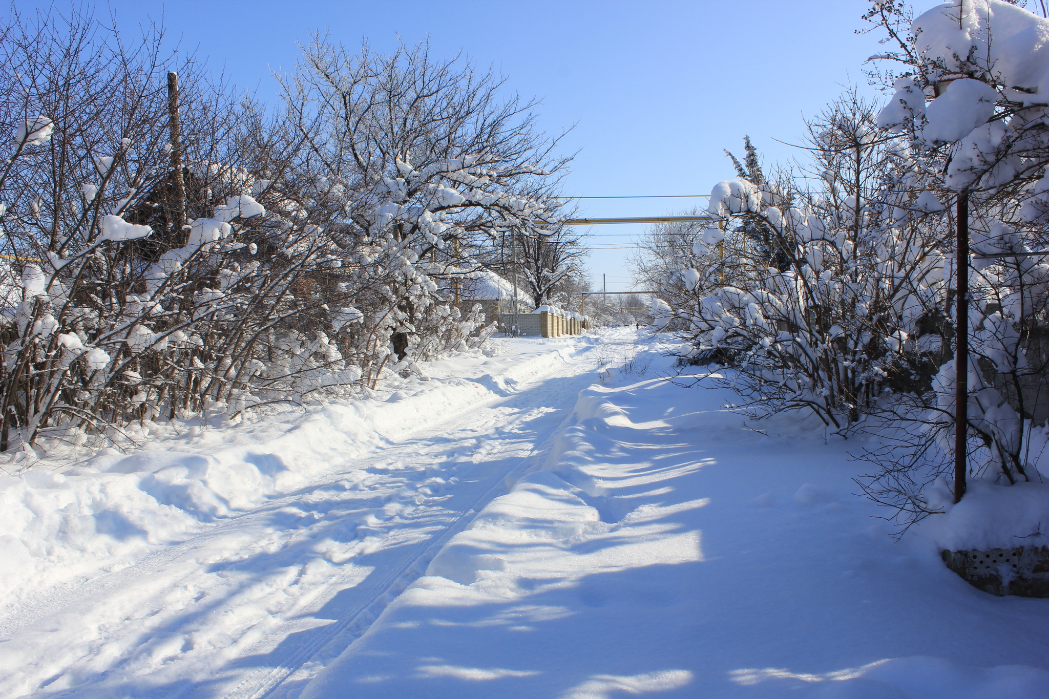 Winter has come again.... (Rostov region) - My, Winter, beauty, Rostov region, Landscape, Longpost