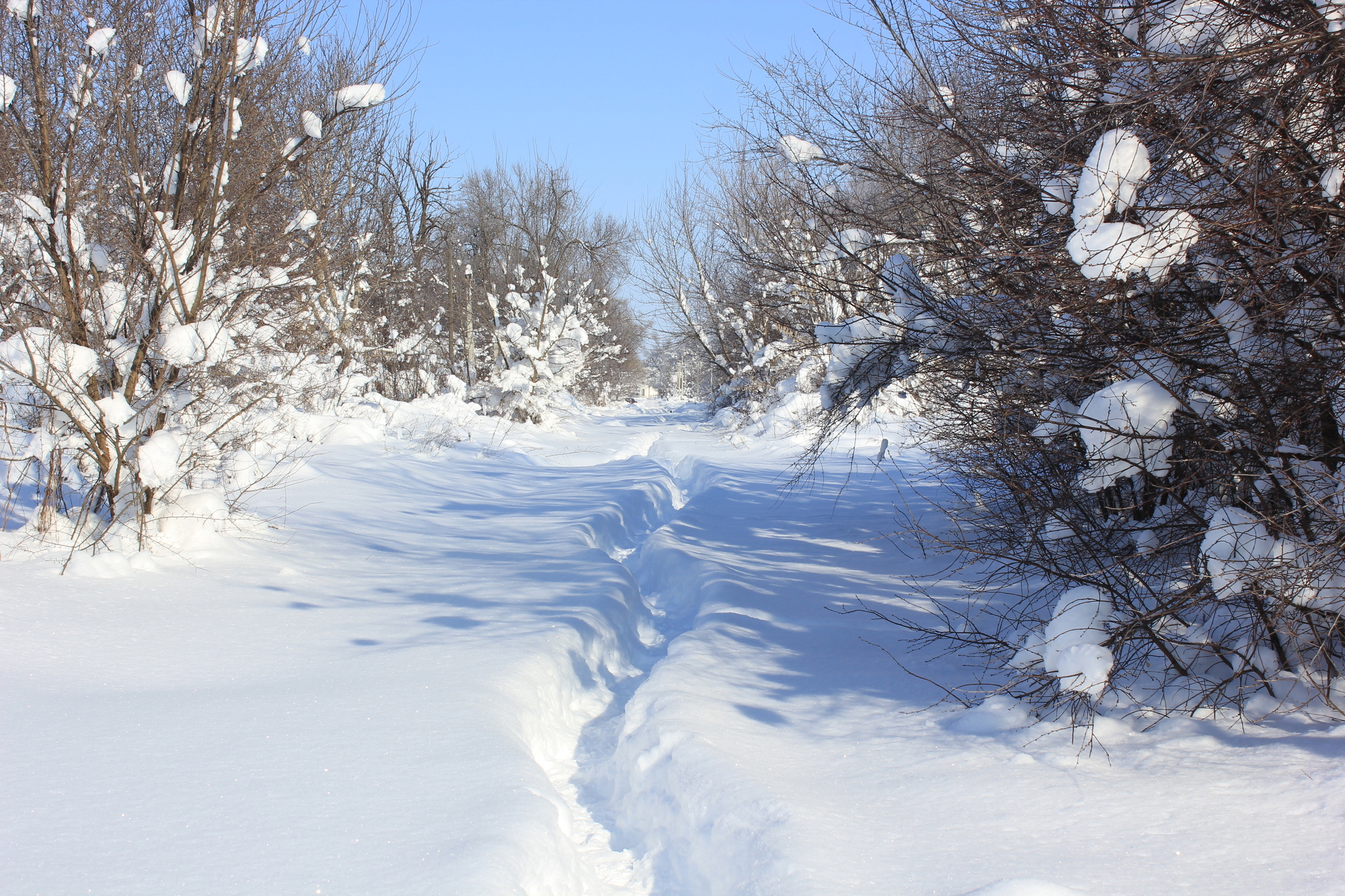 Winter has come again.... (Rostov region) - My, Winter, beauty, Rostov region, Landscape, Longpost