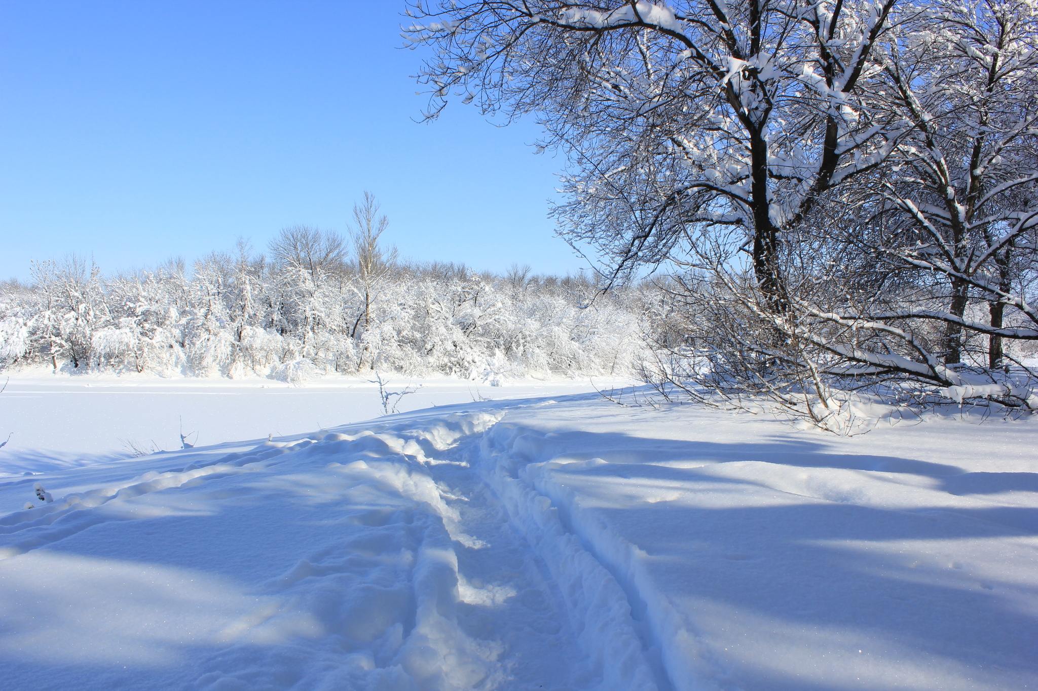 Winter has come again.... (Rostov region) - My, Winter, beauty, Rostov region, Landscape, Longpost