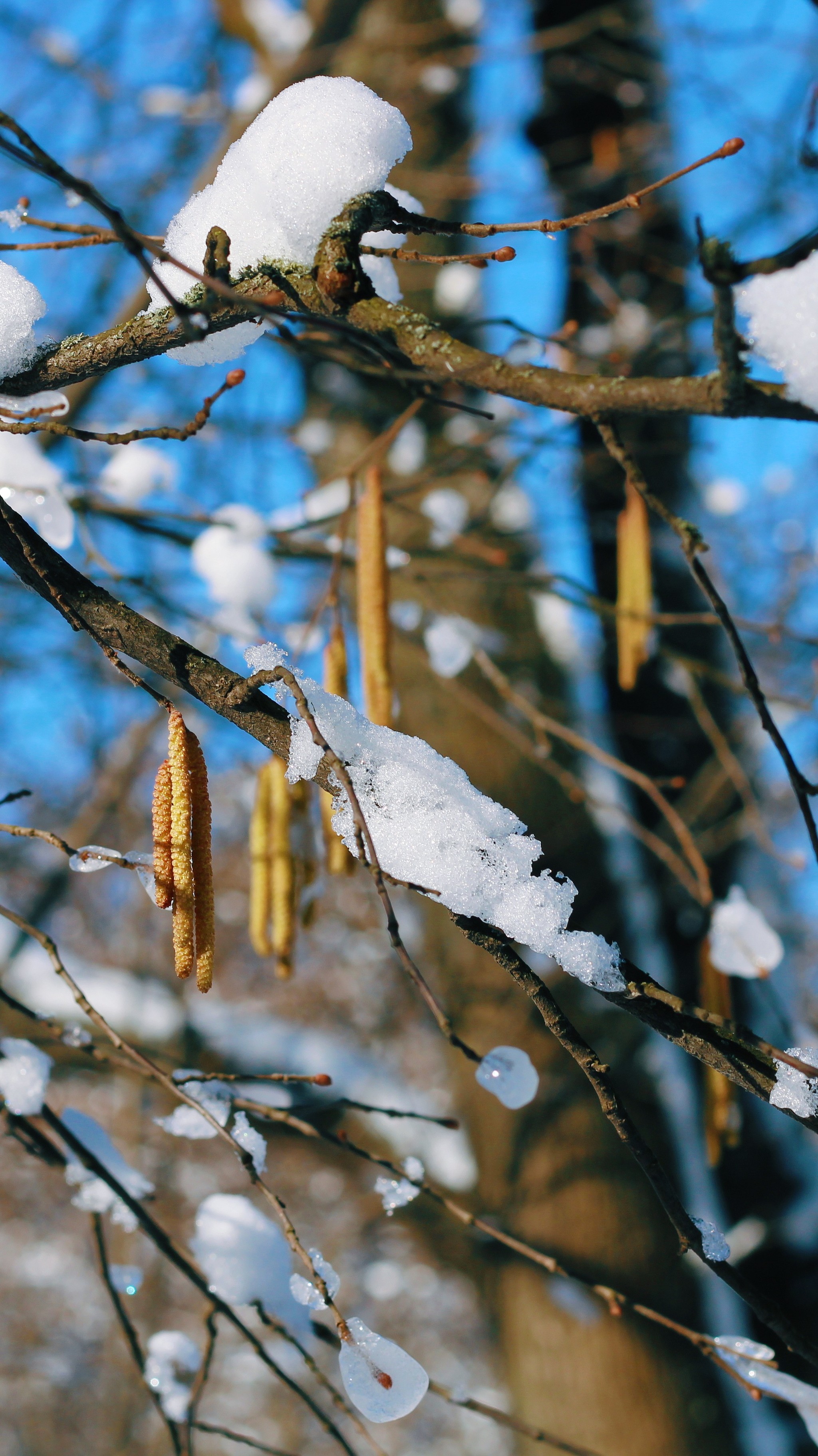 Sharing part of winter - My, Winter, The photo, Новичок, Longpost