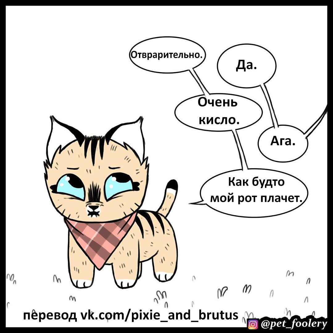 Lemon - Pet foolery, Brutus and Pixie, Comics, Longpost, Lemon