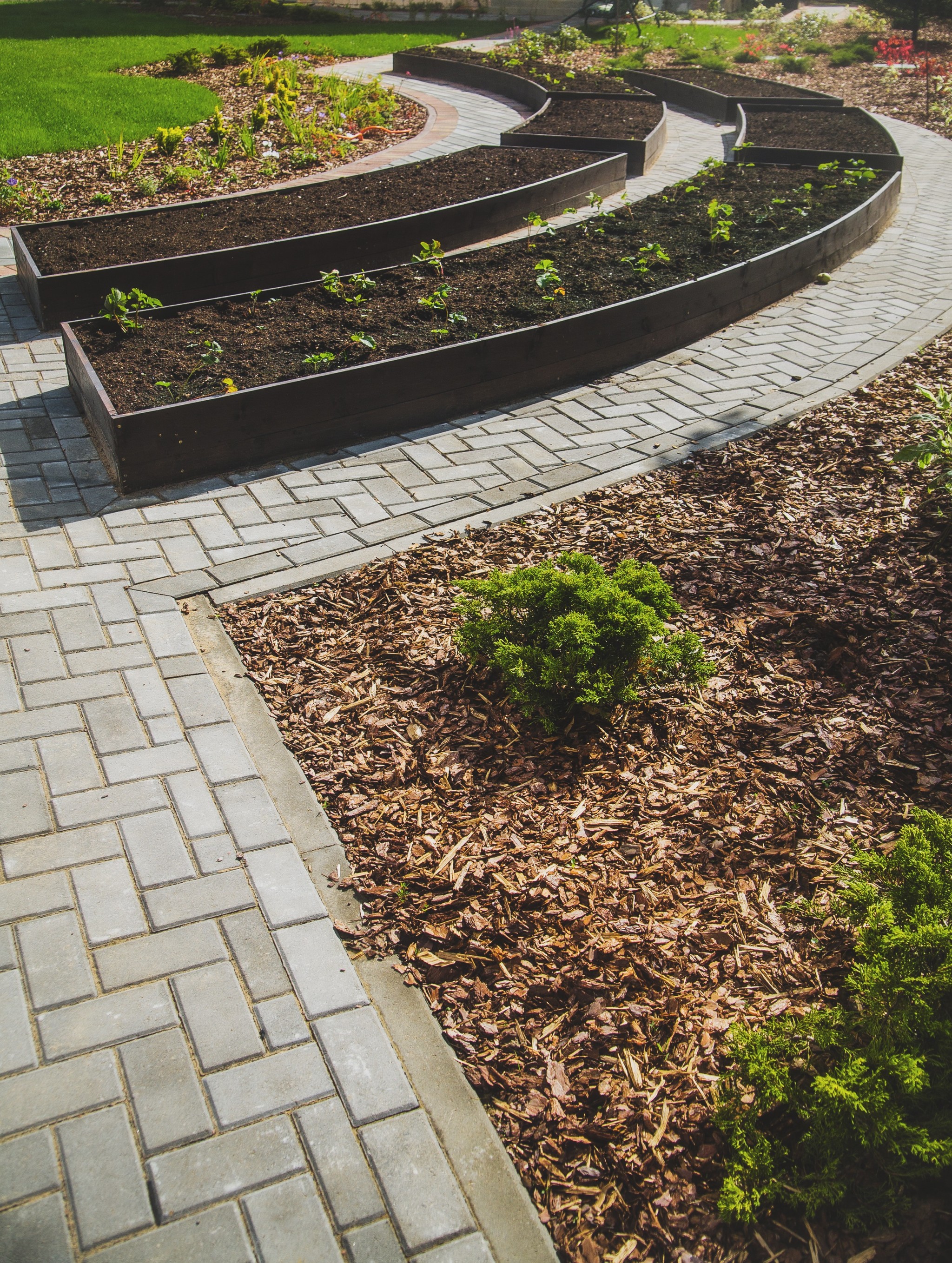 Beds for the soul - My, Paving stones, Garden, Landscape design, Saint Petersburg, Garden beds, Dacha, Favorite dacha, Longpost