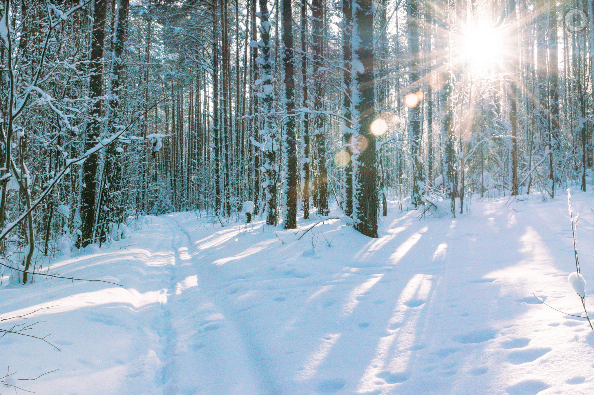 Winter forest in Arti village - My, The photo, Winter, Ab87, Forest, Artie, Artinsky district