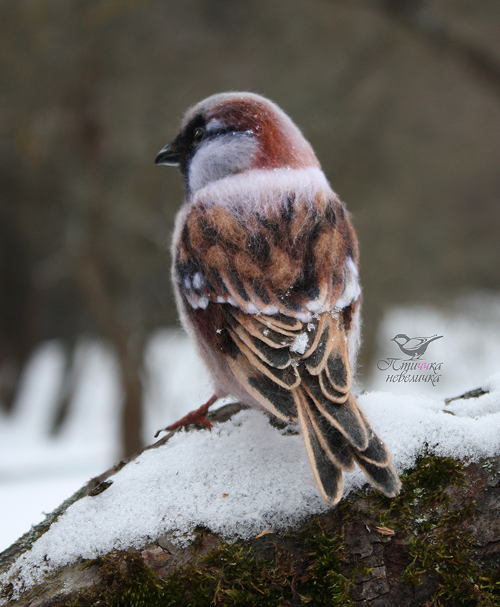 House sparrow. Dry felting - My, Needlework without process, Dry felting, Creation, Needlework, Author's toy, Wallow, Craft, Longpost