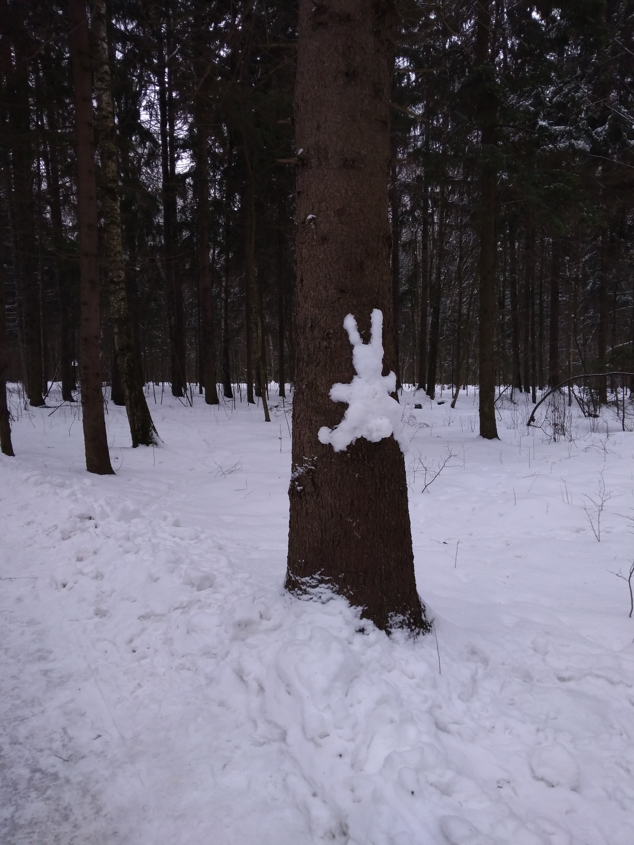 Заяц - Моё, Снеговик, Дерево, Длиннопост