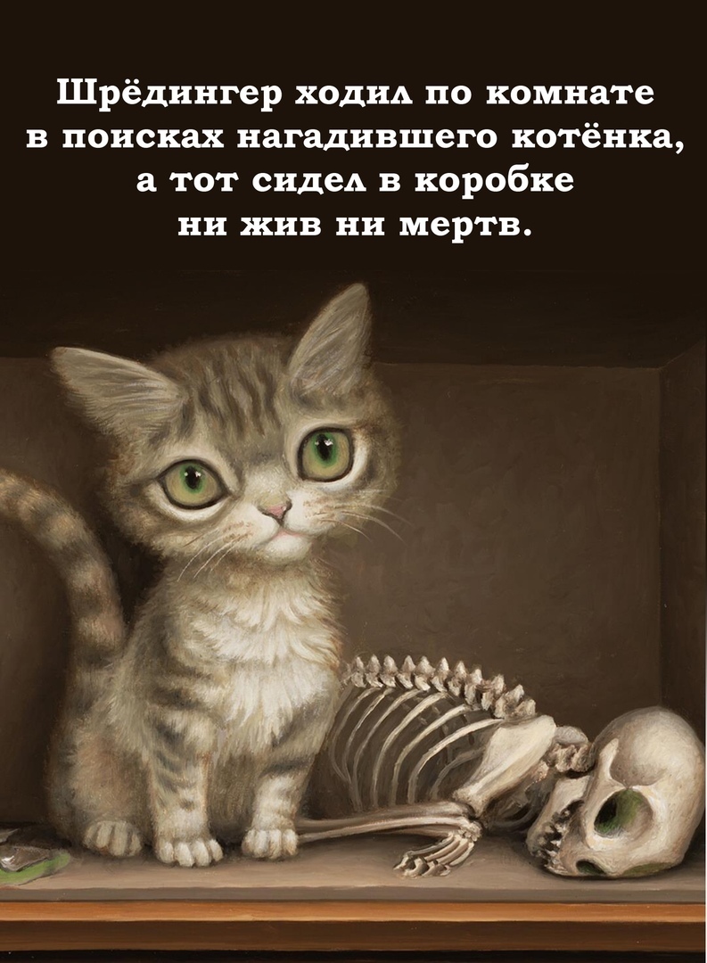 В любой ситуации- коробка.(кот) | Пикабу