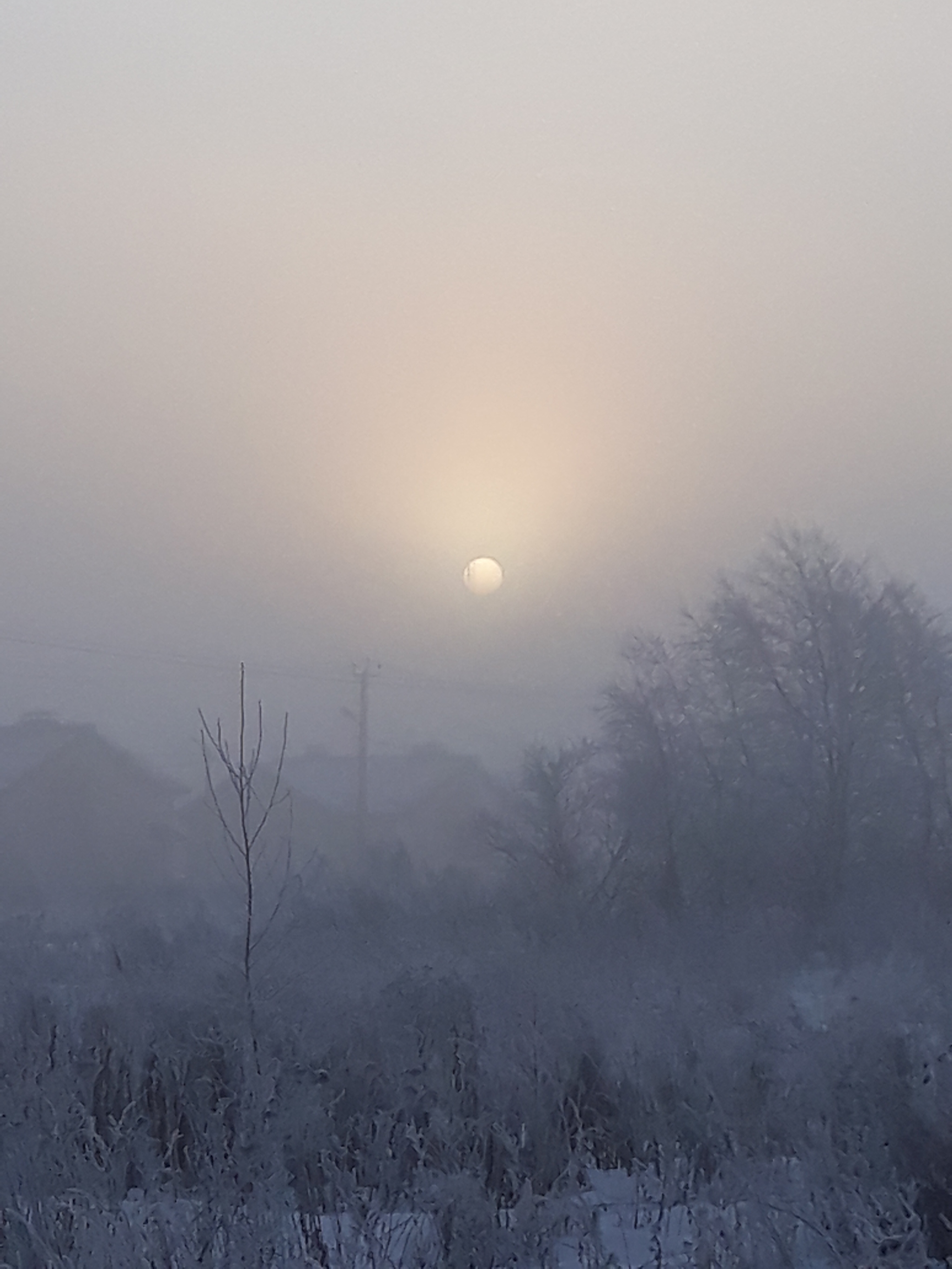 Starway to Haven? - My, The photo, Fog, Morning, beauty, Longpost